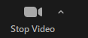 stop video