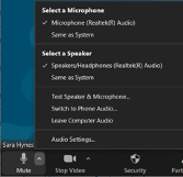 zoom phone audio2